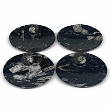 744g, 4pcs, 4.7&quot;x3.8&quot; Small Black Fossils Ammonite Orthoceras Bowl Oval Ring,B88 - £47.95 GBP