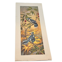 Vtg RF Harnett Blue Jays Birds Lithograph Art Print Kaplan USA 6x14&quot; Aviary - £11.06 GBP