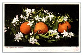 Oranges and Blossoms UNP Detroit Publishing UDB Postcard K17 - £3.06 GBP