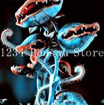 Venus Fly Trap Dionaea Muscipula Carnivorous Plant Seeds - $9.87 CAD