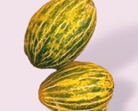 15 Santa Claus Melon Seeds Fruit Piel De Sapo Non Gmo Fast Shipping - $8.99
