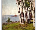 Birches Along Beach Wequetonsing Michigan MI UNP DB Postcard W18 - $4.49