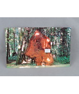 Vintage Postcard - Douglas Fir Wooded Wonderland Victoria - Wright Every... - $20.58 CAD