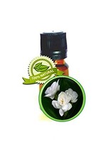 Jasmine Absolute Oil - 100% PURE Jasminum Sambac - 5ml (1/6oz) - £39.16 GBP