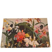 Postcard Orchids To You Hawaiian Islands Flowers Chrome Unposted - £5.53 GBP