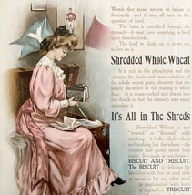 Shredded Wheat Niagara Falls NY Advertisement 1905 Lithograph School Art... - $49.99