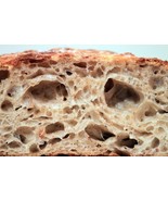 organic san francisco sourdough starter yeast TANGY EXTRA SOUR new wharf... - £7.17 GBP