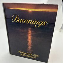 Dawnings Finding Gods Love in Darkness Phyllis Hobe Religious Book - $5.52
