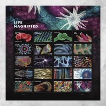 Life Magnified (Sheet of 20) Forever Postage Stamps Explores Life on Earth (Red  - £14.09 GBP