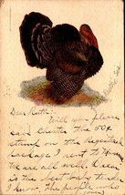 Vintage Embossed Postcard - Large Turkey BK27 - £1.55 GBP