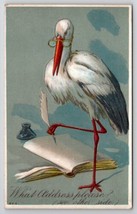 Anthropomorphic Stork With Glasses And Quill What Address Please Postcard B44 - £6.33 GBP