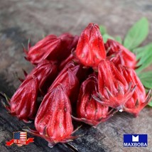 Roselle Seeds Asian Sour Leaf (Hibiscus) Nongmo Heirloom Vegetable Garden Us Sel - £2.84 GBP