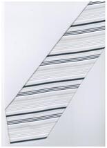 ES9 Silver White Necktie - $19.99