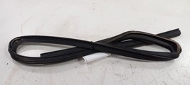 Dodge Journey Door Glass Window Seal Rubber Right Passenger Rear Back 20... - $34.96