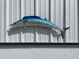 48&quot; Wahoo Two Sided Fish Mount Replica -  Quick Production - £428.64 GBP
