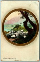 Dawn on the Trossachs Landscape Sheep Scotland 1910s DB Postcard F11 - £2.29 GBP