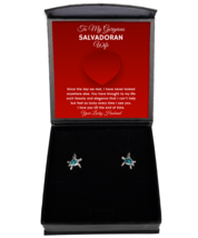Earrings Present For Salvadoran Wife - Jewelry Turtle Ear Rings Valentin... - £39.46 GBP