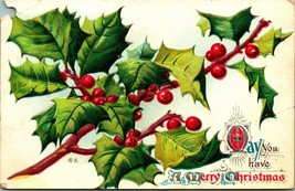 Agrifoglio Ramo Bacche Maggio You Have A Merry Natale Unp Goffrato DB Cartolina - $3.83