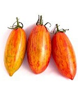 SKM 50 Seeds Sunset Falls Tomato Tomatoe Vegetable Easy to Grow - $15.05 CAD