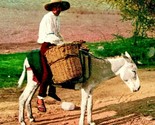 A Native &amp; His FIery Untamed Steed Donkey Mule c1905 UDB Postcard Unused... - $4.17