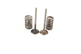 2010 Kawasaki Kfx450r Intake Exhaust Valves and Valve Springs G7248 - $74.24