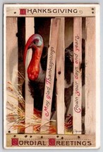 Ellen Clapsaddle Thanksgiving Greeting Turkey Escaping Crate Postcard F34 - $7.95