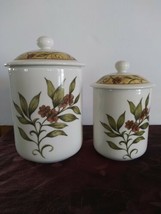 Set Of 2 Everyday Doulton Cinnabar Canisters T.C 1217 - £50.63 GBP