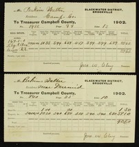 Antique Paper Document Tax Campbell County VA Blackwater District Brookv... - $10.89