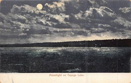 Moonlight On Cayuga Lake New YORK~1900s Postcard - £8.32 GBP