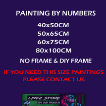 DIY Oil Painting On Canvas Paint By Numbers Kit for Adults New Cartoon Girl Art - £10.49 GBP