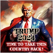 Trump 2024 Sticker &quot;Take this country back&quot; Exterior Decal or Magnet Trump 2024 - £5.46 GBP+