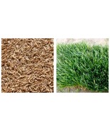 Zoysia Japonica Grass See Details - (Color: Seed) 30000Pcs Seeds Gardening - $24.99