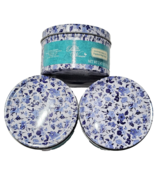 3 The Pioneer Woman Eucalyptus &amp; Orange Zest Lavender Figural Wax Melts ... - €22,18 EUR