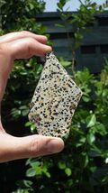 Dalmatian jasper Slab - $23.75