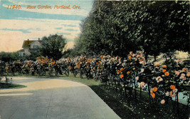 DB OR Postcard C695 Rose Garden Portland Oregon The Acmegraph ca1915 Street View - £4.01 GBP