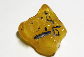 Raw Amber Stone Natural Baltic Amber Genuine Raw Amber Piece - £46.19 GBP