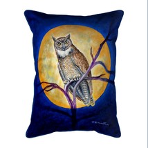 Betsy Drake Owl in Moon 20x24 Extra Large Zippered Indoor Outdoor Pillow - £49.46 GBP