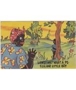 Black Americana Cartoon Lawsy Me! What A Peculiar Little Boy Postcard Park Rapid - $9.99