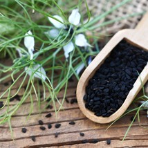 Black Cumin Seeds Pack 50 Quality Nigella Sativa Seeds Planting Organic Herbal F - £13.53 GBP