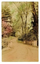 &quot;Where Lovers Meet&quot; Hand Colored RPPC Antique Vintage Photo Postcard - £23.42 GBP