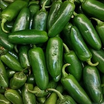 Jalapeno M Hot Pepper Gardening Vegetable Seeds USA Fast Shipping - $17.15