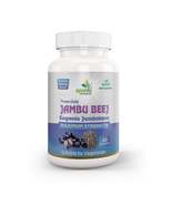 Ayushya Jambu Bij Capsules (Jamun) Glucose Wellness Support - Vegan, Glu... - $11.99