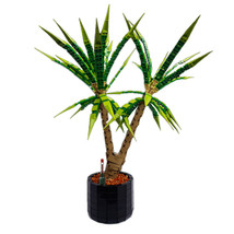 Dracaena Marginata / Room Plant, Potted Plant Model for Viewing 1952 Pieces - £78.96 GBP