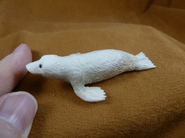 SEAL-w12) little white swimming Seal shed ANTLER figurine Bali detailed ... - $57.49
