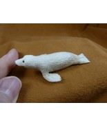 SEAL-w12) little white swimming Seal shed ANTLER figurine Bali detailed ... - $78.09 CAD