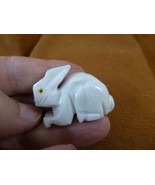(y-BUN-201) white BUNNY RABBIT Alabaster stone FIGURINE love rabbits HOP... - €11,37 EUR