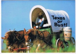 Texas Postcard Horse Team &amp; Wagon Texas Or Bust - £1.74 GBP
