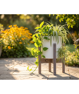 Adjustable Plant Stand 8-12 inches, Acacia solid wood, Pot &amp; Plant NOT I... - $36.38