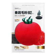 Qinshu® Pink 802 F1 Tomato 2000 Seeds FRESH SEEDS - $18.99