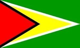 1000 Flags Guyana - The Golden Arrowhead Flag 150cm x 90cm - £3.85 GBP